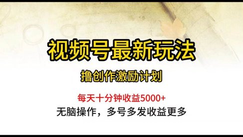 视频号最新玩法,每日一小时月入5000+