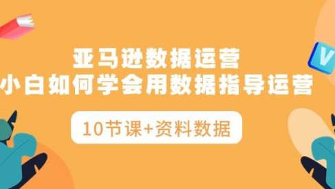 亚马逊数据运营,小白如何学会用数据指导运营(10节课+资料数据)