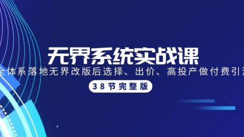 无界系统实战课:全体系落地无界改版后选择、出价、高投产做付费引流-38节