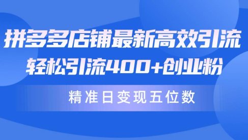 拼多多店铺最新高效引流术,轻松引流400+创业粉,精准日变现五位数!