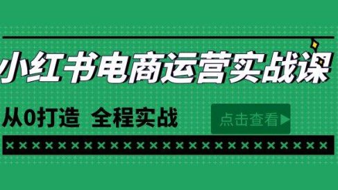 最新小红书·电商运营实战课,从0打造 全程实战(65节视频课)