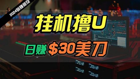 日赚30美刀,2024最新海外挂机撸U内部项目,全程无人值守,可批量放大