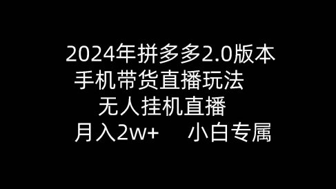 2024年拼多多2.0版本,手机带货直播玩法,无人挂机直播, 月入2w+, 小…
