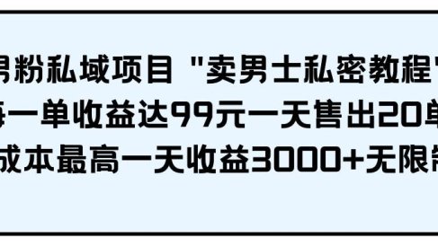 男粉私域项目 卖男士私密教程 每一单收益达99元一天售出20单