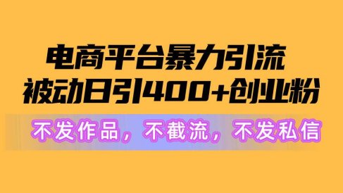 电商平台暴力引流,被动日引400+创业粉不发作品,不截流,不发私信