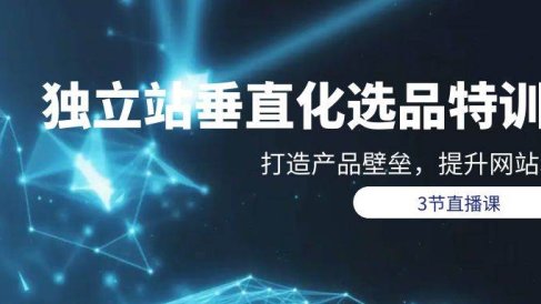 独立站-垂直化选品训练营,打造产品壁垒,提升网站利润(3节直播课)