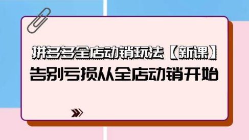 拼多多全店动销玩法【新课】,告别亏损从全店动销开始(4节视频课)