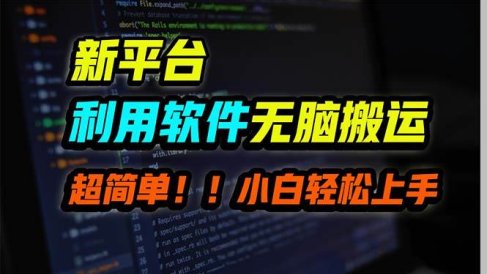 新平台用软件无脑搬运,月赚10000+,小白也能轻松上手