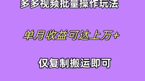 拼多多视频带货快速过爆款选品教程 每天轻轻松松赚取三位数佣金 小白必…