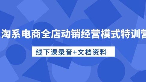 淘系电商全店动销经营模式特训营,线下课录音+文档资料