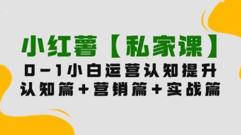 小红薯【私家课】0-1玩赚小红书内容营销,认知篇+营销篇+实战篇(11节课)