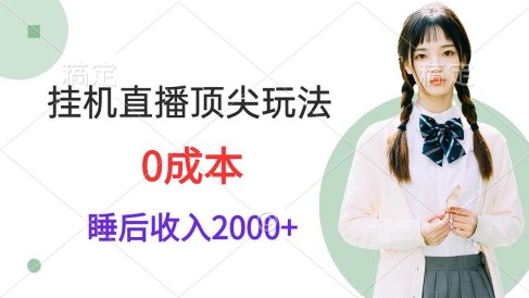 挂机直播顶尖玩法,睡后日收入2000+、0成本,视频教学