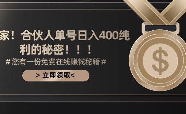 合伙人广告撸金最新玩法，每天单号400纯利