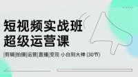 短视频实战班-超级运营课,|剪辑|拍摄|运营|直播|变现 小白到大神 (30节)