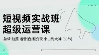 短视频实战班-超级运营课,|剪辑|拍摄|运营|直播|变现 小白到大神 (30节)