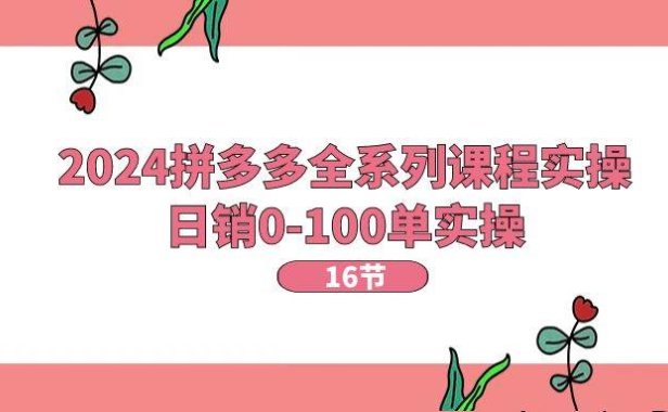 2024拼多多全系列课程实操，日销0-100单实操【16节课】