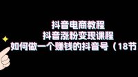 抖音电商教程:抖音涨粉变现课程:如何做一个赚钱的抖音号(18节)