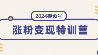 2024视频号-涨粉变现特训营:一站式打造稳定视频号涨粉变现模式(10节)