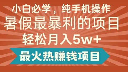 小白必学,纯手机操作,暑假最暴利的项目轻松月入5w+最火热赚钱项目