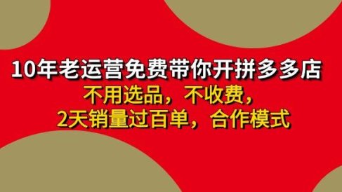 拼多多-合作开店日入4000+两天销量过百单,无学费、老运营教操作、小白…