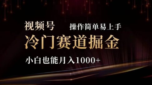 2024视频号冷门赛道掘金,操作简单轻松上手,小白也能月入1000+