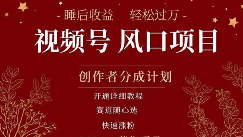 拥有睡眠收益的微信视频号大风口项目,轻松月入过万+,多赛道选择,可…