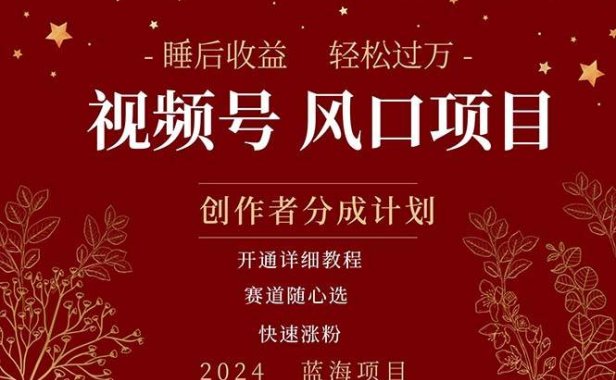 拥有睡眠收益的微信视频号大风口项目，轻松月入过万+，多赛道选择，可…