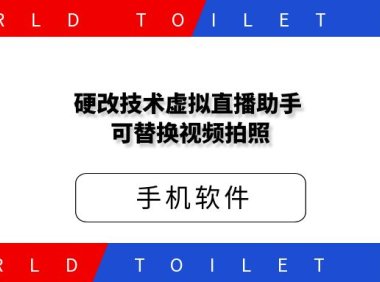 硬改技术虚拟直播助手 可替换视频拍照