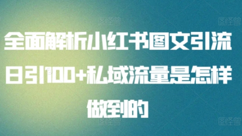 全面解析小红书图文引流日引100私域流量是怎样做到的
