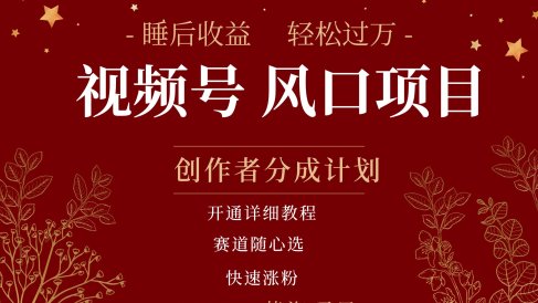 拥有睡眠收益的微信视频号大风口项目,轻松月入过万+,多赛道选择,可矩阵,玩法简单轻松上手