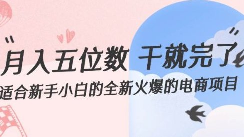 月入五位数 干就完了 适合新手小白的全新火爆的电商项目