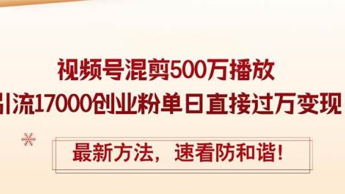 精华帖视频号混剪500万播放引流17000创业粉,单日直接过万变现,最新方…