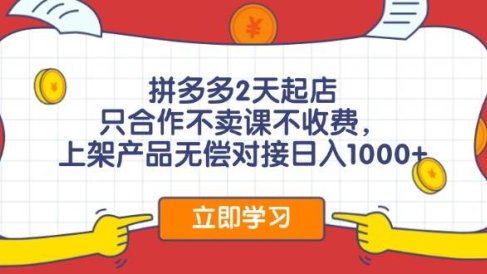 拼多多0成本开店,只合作不卖课不收费,0成本尝试,日赚千元+