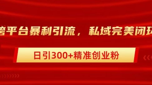 跨平台暴力引流，私域完美闭环，日引300+精准创业粉