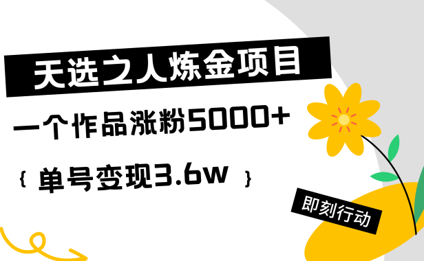 天选之人炼金热门项目,一个作品涨粉5000+,单号变现3.6w