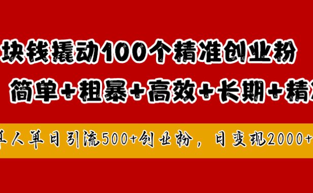 1块钱撬动100个精准创业粉，简单粗暴高效长期精准，单人单日引流500+创业粉，日变现2000+