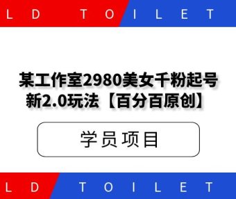 某工作室2980美女千粉起号新2.0玩法