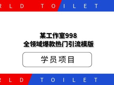 某工作室998全领域爆款热门引流模版