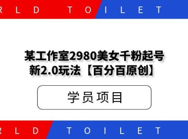 某工作室2980美女千粉起号新2.0玩法