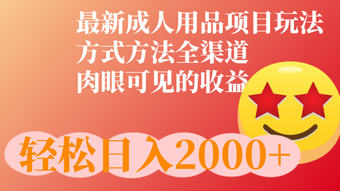 成人用品项目最新玩法，方式方法全渠道