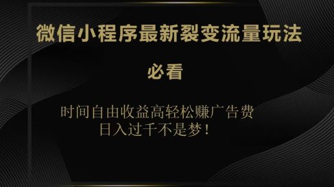 微信小程序最新裂变流量玩法,时间自由收益高轻松赚广告费,日入200-500+