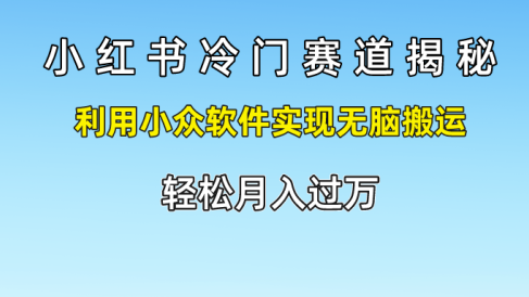 小红书冷门赛道揭秘,轻松月入过万，利用小众软件实现无脑搬运，
