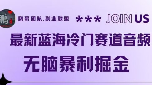 最新蓝海冷门赛道音频，无脑暴利掘金