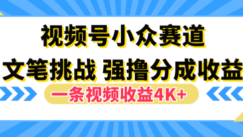视频号小众赛道，文笔挑战，一条视频收益4K+