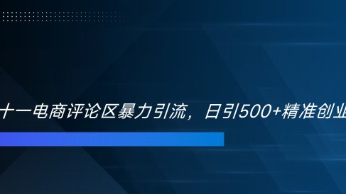 双十一电商评论区暴力引流，日引500+精准创业粉！！！
