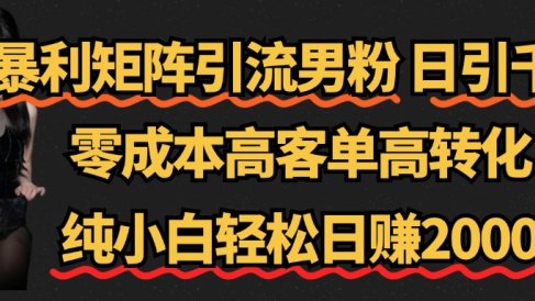 暴利矩阵引流男粉(日引千粉),零成本高客单高转化,纯小白轻松日赚2000+