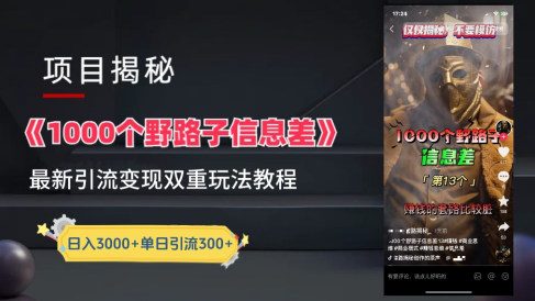 最新一千个野路子信息差玩法教程如何变现+引流的玩法具体拆解!!!