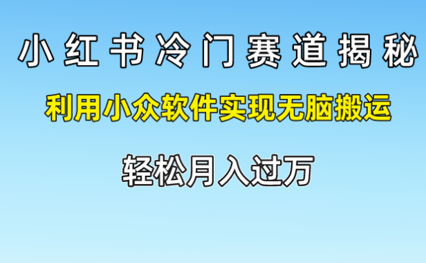 小红书冷门赛道揭秘,轻松月入过万,利用小众软件实现无脑搬运,