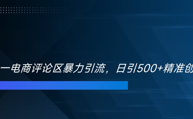 双十一电商评论区暴力引流，日引500+精准创业粉！！！