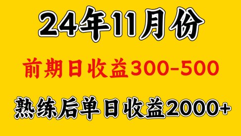 轻资产项目,前期日收益500左右,后期日收益1500-2000左右,多劳多得